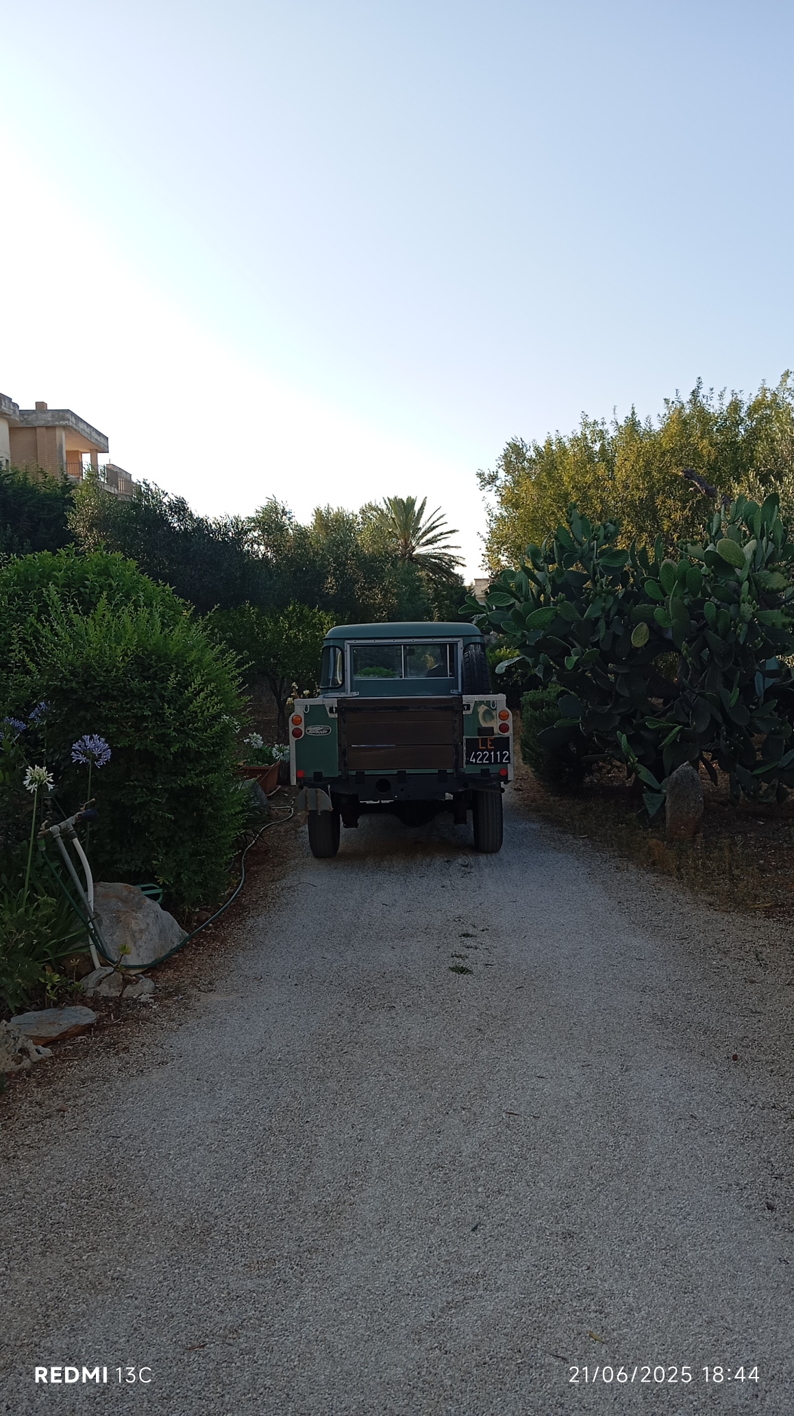 Giardino mediterraneo